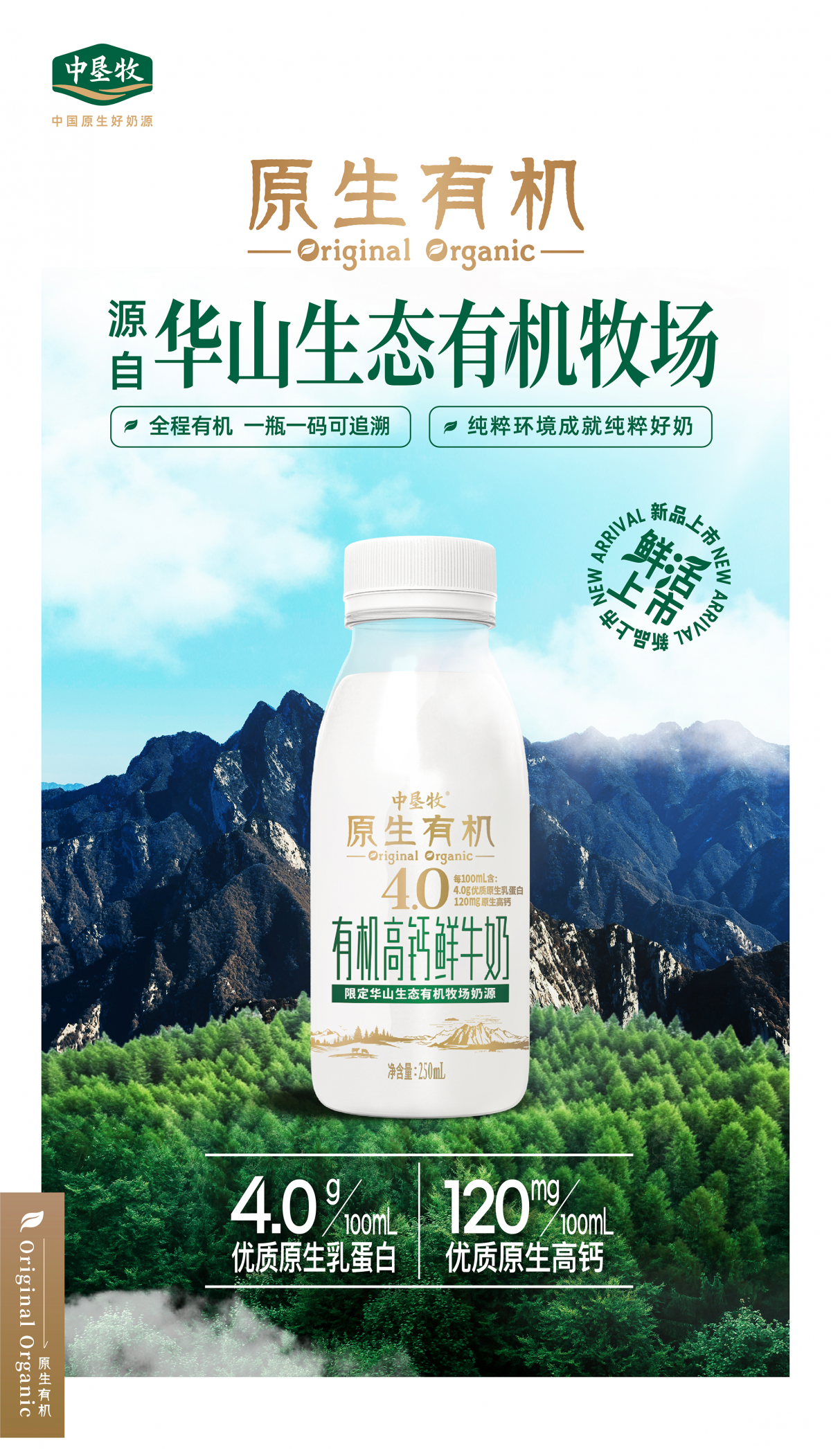 图层 1